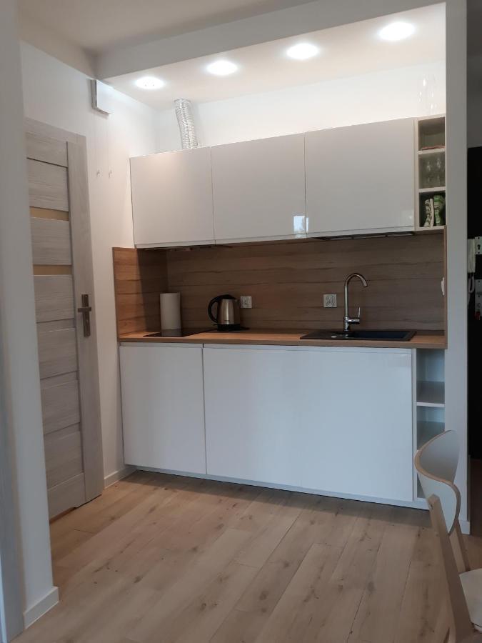 Apartament Szary Wilk Свєрадув-Здруй Екстер'єр фото